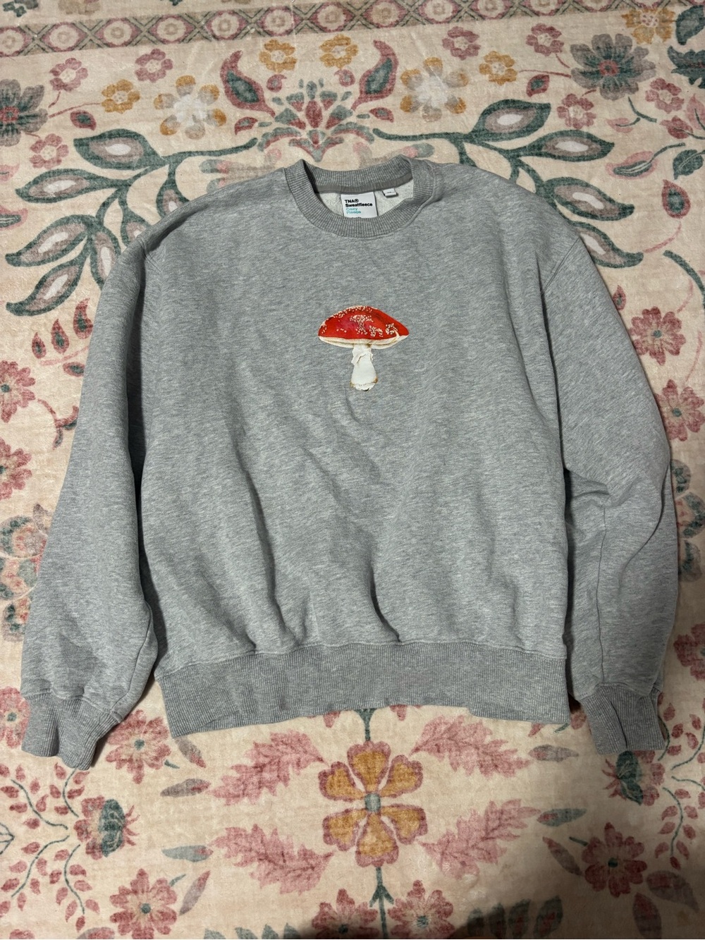 Aritzia TNA sweatfleece cozy fleece perfect fit Gray Crewneck Sweatshirt
